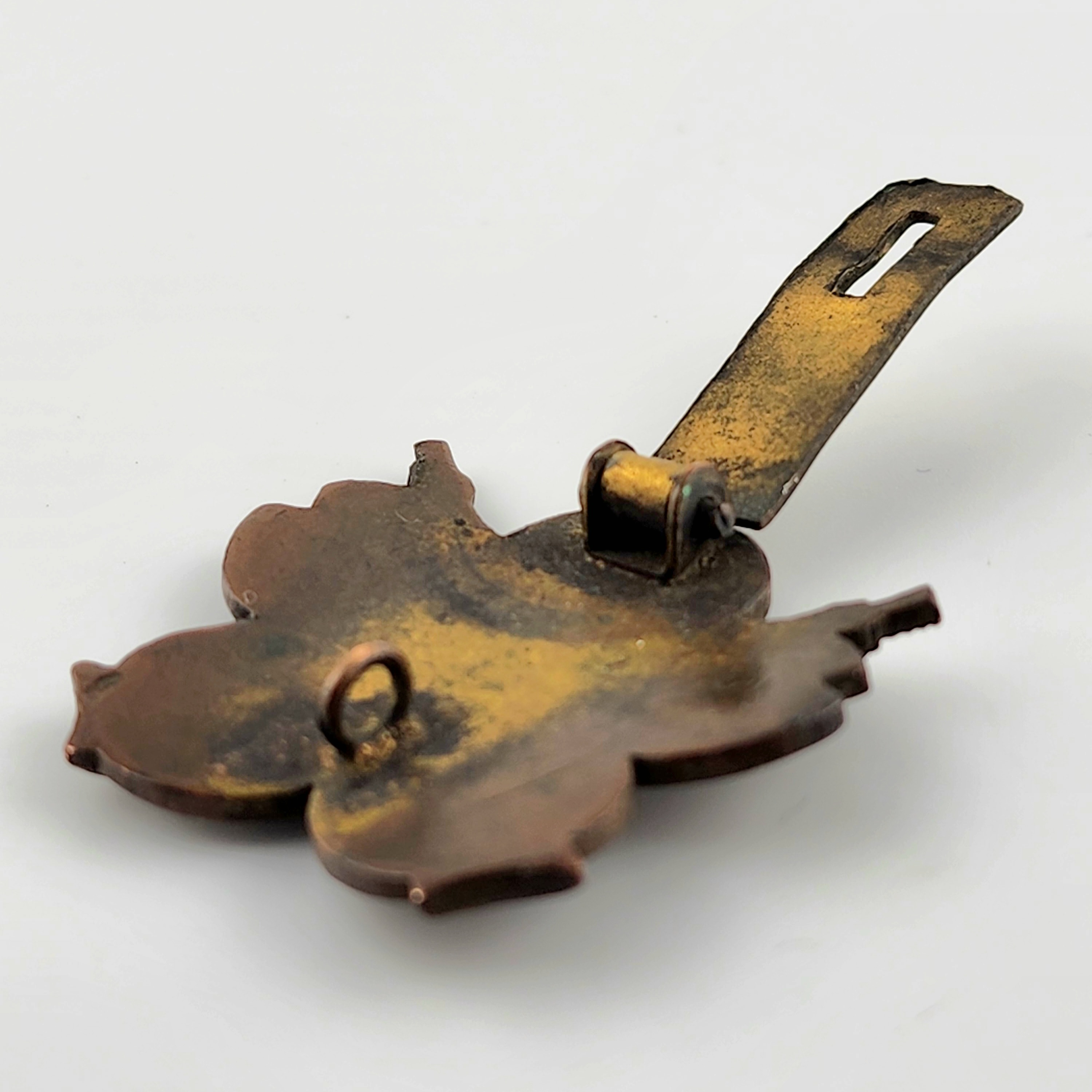 Japan and  other countries.